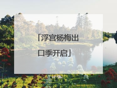 浮宫杨梅出口季开启